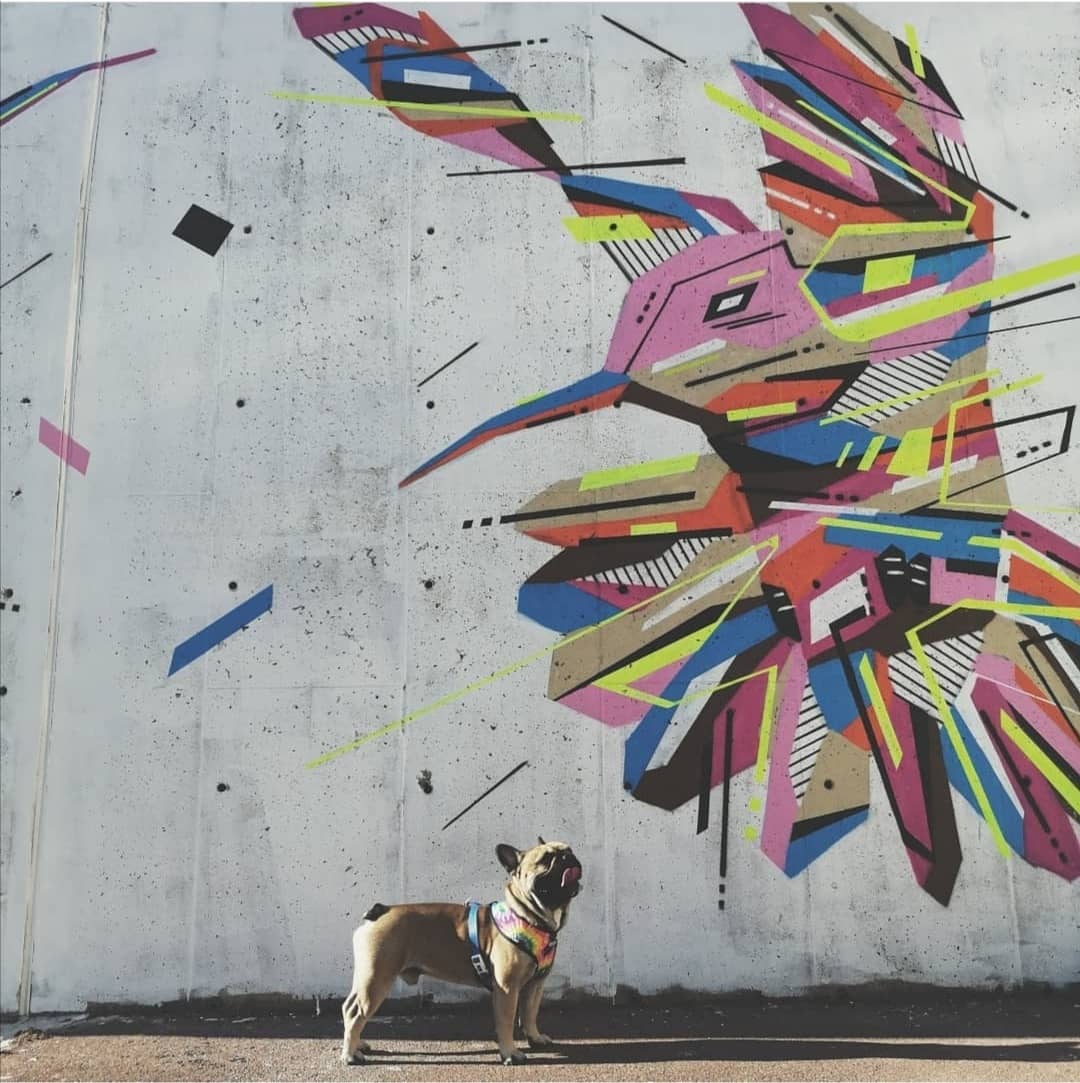 Fresque Graffaune Graffiti colibri réalisée par Daco
