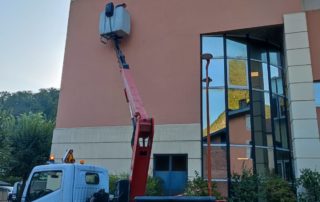 Graffaune perroquet 1 wip 2