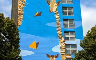 PXL_20230702_123024632~3