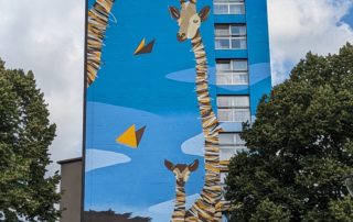 PXL_20230705_085501390