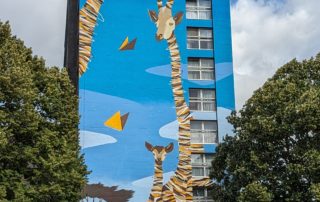 PXL_20230705_085605563